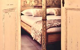 Elephant In My Room